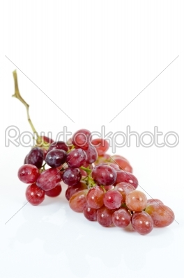 grapes on white