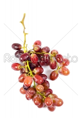 grapes over white