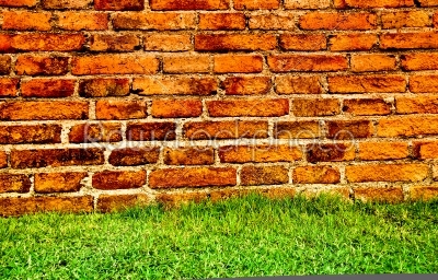 green grass and brick wall
