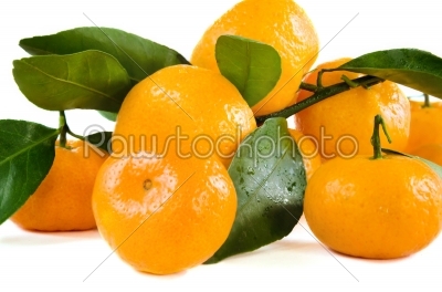 group of orange