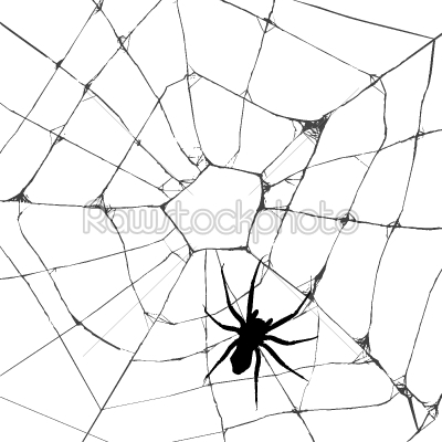 Grunge web spider 