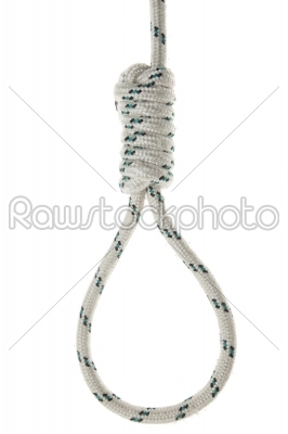 Hanging noose of rope isolated on white. 