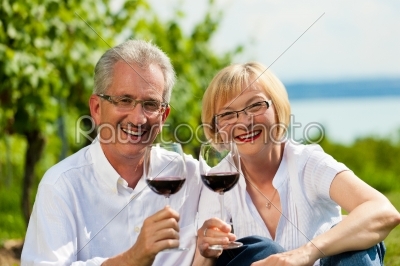 Happy couple drinking wine at lake in summer