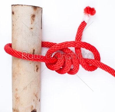 knot series-tarbuck knot