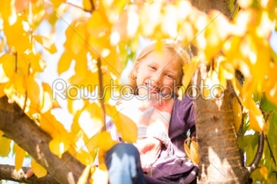 Little girl or kid in tree in colorful autumn or fall