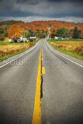 Long winding country road