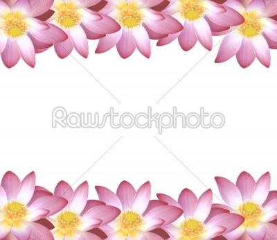lotus frame