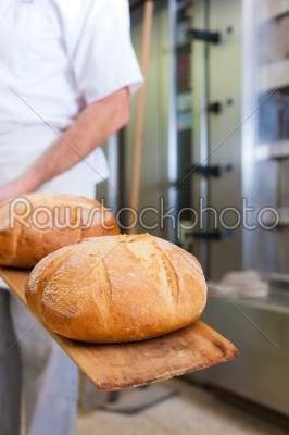 Male baker baking bread