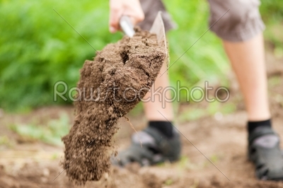 Man gardener - only feet to be seen - digging the soil in spring with a spade to make the garden ready