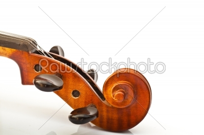 New Violin Head