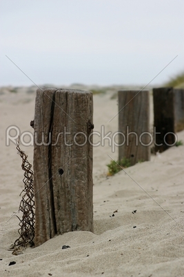 Old Fence Poles