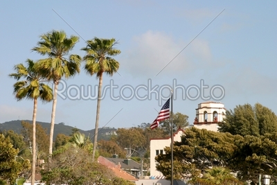 Palm Tree Flag