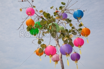 red blue purple pink green and yellow Chinese New Year Lanttern