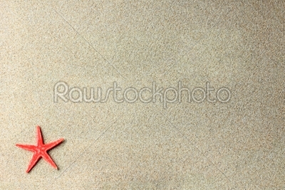 Red starfish in the sand