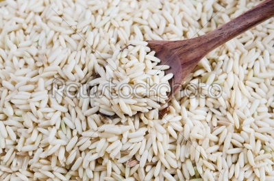 rice grains and spoon