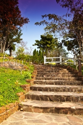 rocky park step
