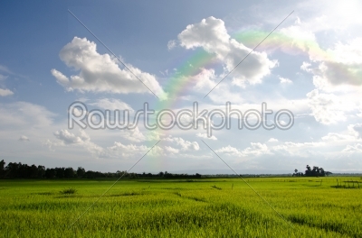 rural of thailand