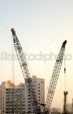 shanghai construction crane