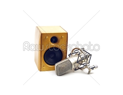 speaker and microphone