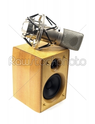 speaker and microphone