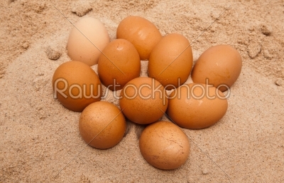 ten egges in sand