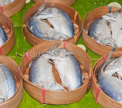 Thai gulf mackerel