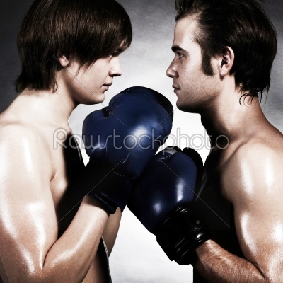 Two boxers