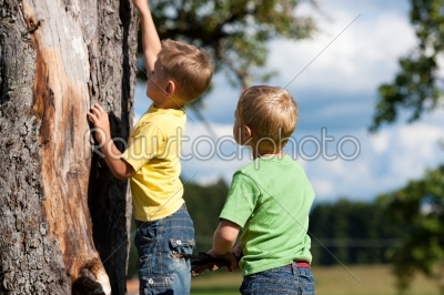 Two boys climbing on a tree