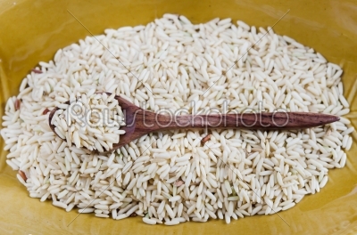 uncooked rice grains