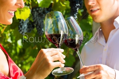 Woman and man standing at vineyard and drinking wine