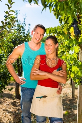 Woman and man standing in vineyard 