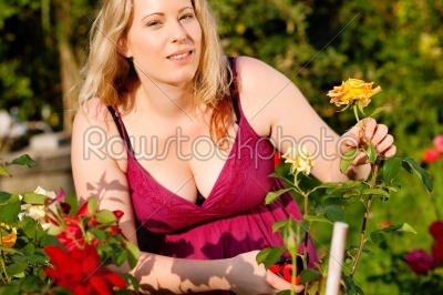 Woman cutting the roses in garden