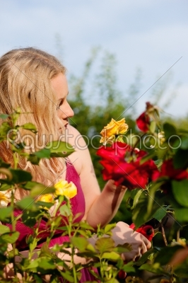 Woman cutting the roses in garden
