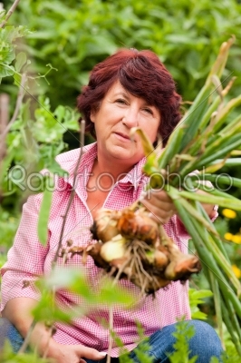 Woman harvesting onions in her garden, FOCUS ON ONIONS