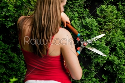 Woman in garden trimming hedge