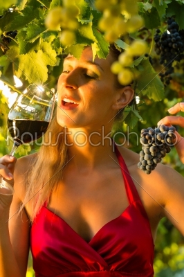 Woman with glass of wine in vineyard