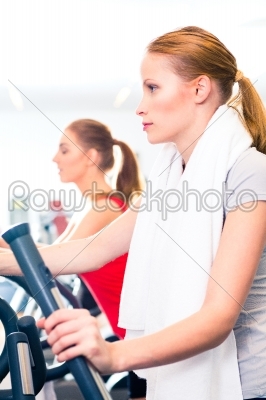 Women at cardio training in gym