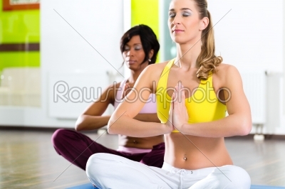 women in the gym doing yoga exercise for fitness