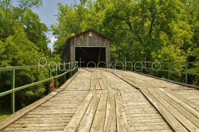 wooden road in to a wooden bridge.