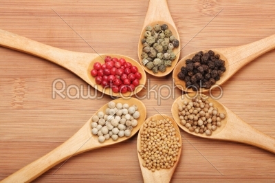 Wooden spoons with spices