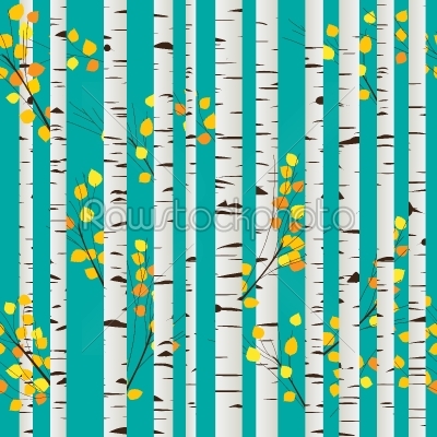 Birch forest pattern