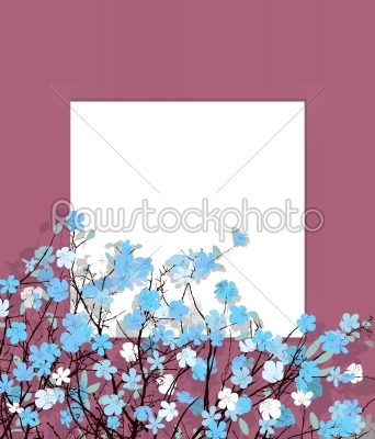 Blue flowers card