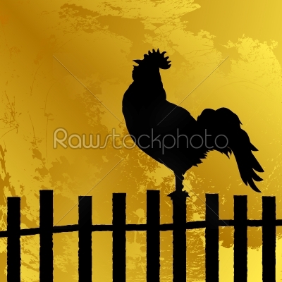 Cock silhouette