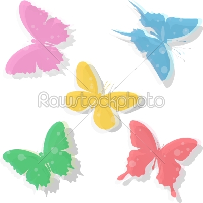 Color butterflies white background