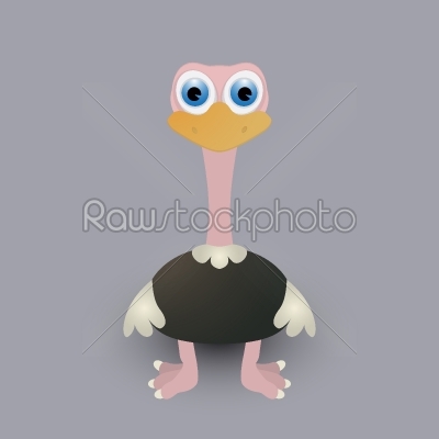 Cute baby ostrich