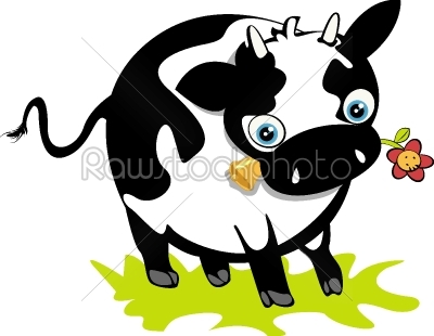 Cute cow
