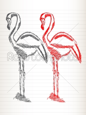Flamingo sketch
