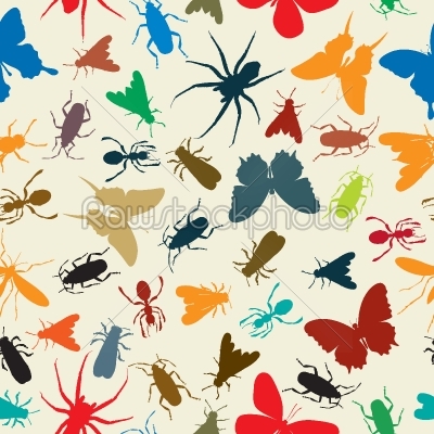 Insects pattern