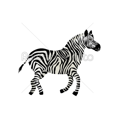 Running zebra