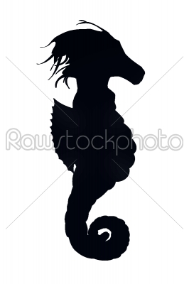 Silhouette seahorse